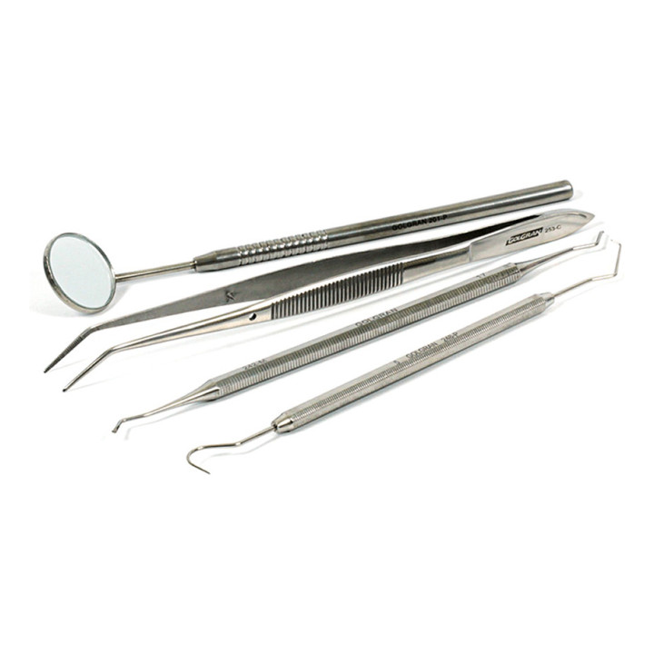 Kit Clínico Odontológico Profissional Prata Golgran 4 Peças Prata | Kits de Instrumentos