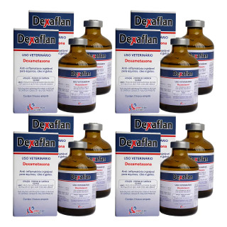 Kit Com 8 Unidades - Dexaflan Dexametasona 50ml | LEMA INJEX | Vitaminas e Minerais